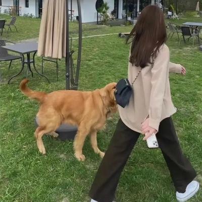 美女与液体人